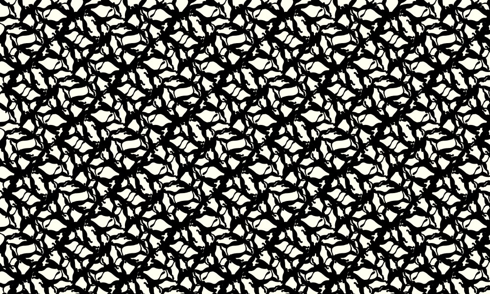 pumas 4 - flash - 2004